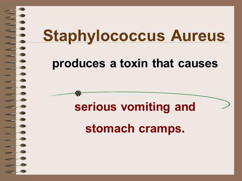 produces a toxin that causes   serious vomiting and  stomach cramps. Staphylococcus